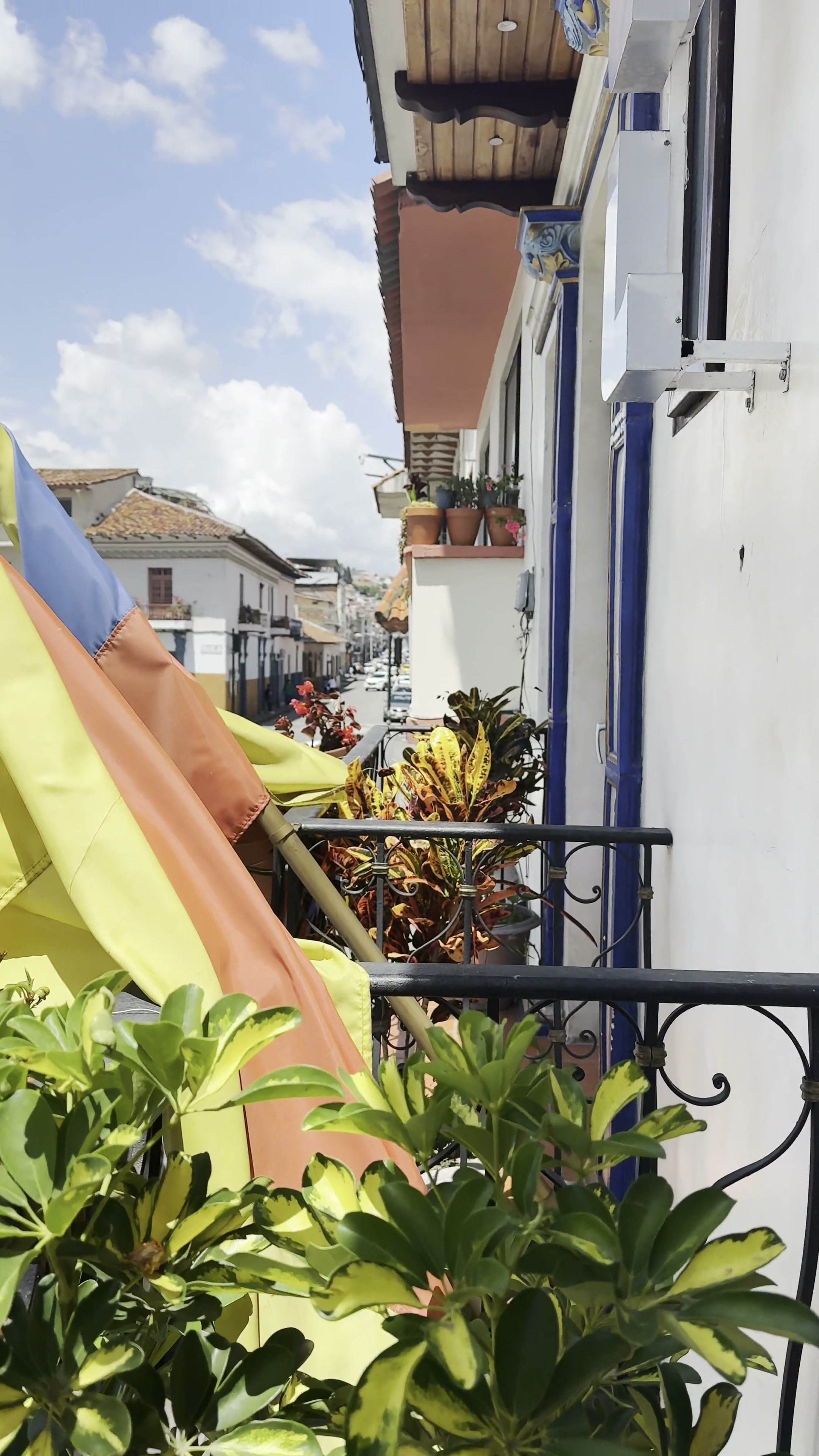 Vista desde el balcón hacia la calle, con banderas y plantas